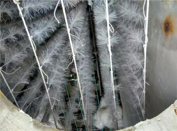 一体化91看片APP下载安装